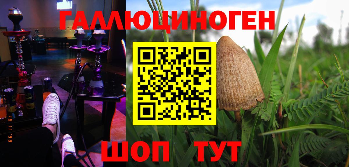 Псилоцибиновые грибы MAGIC MUSHROOMS  Вход с VPN  Заволжье  Псилоцибиновые грибы Psilocybe 